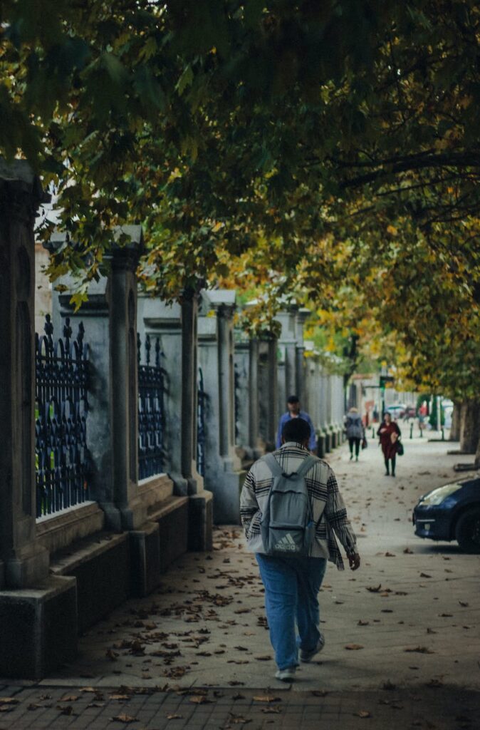 pedestrians walking on the sidewalk under autumnal trees in city